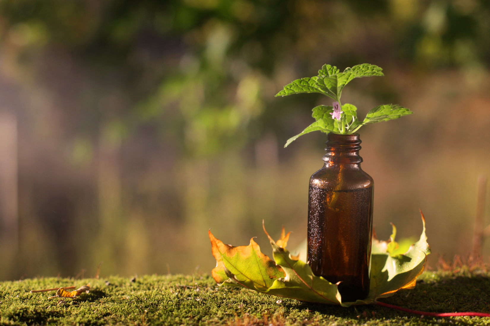 Homeopathy - natural medicines.