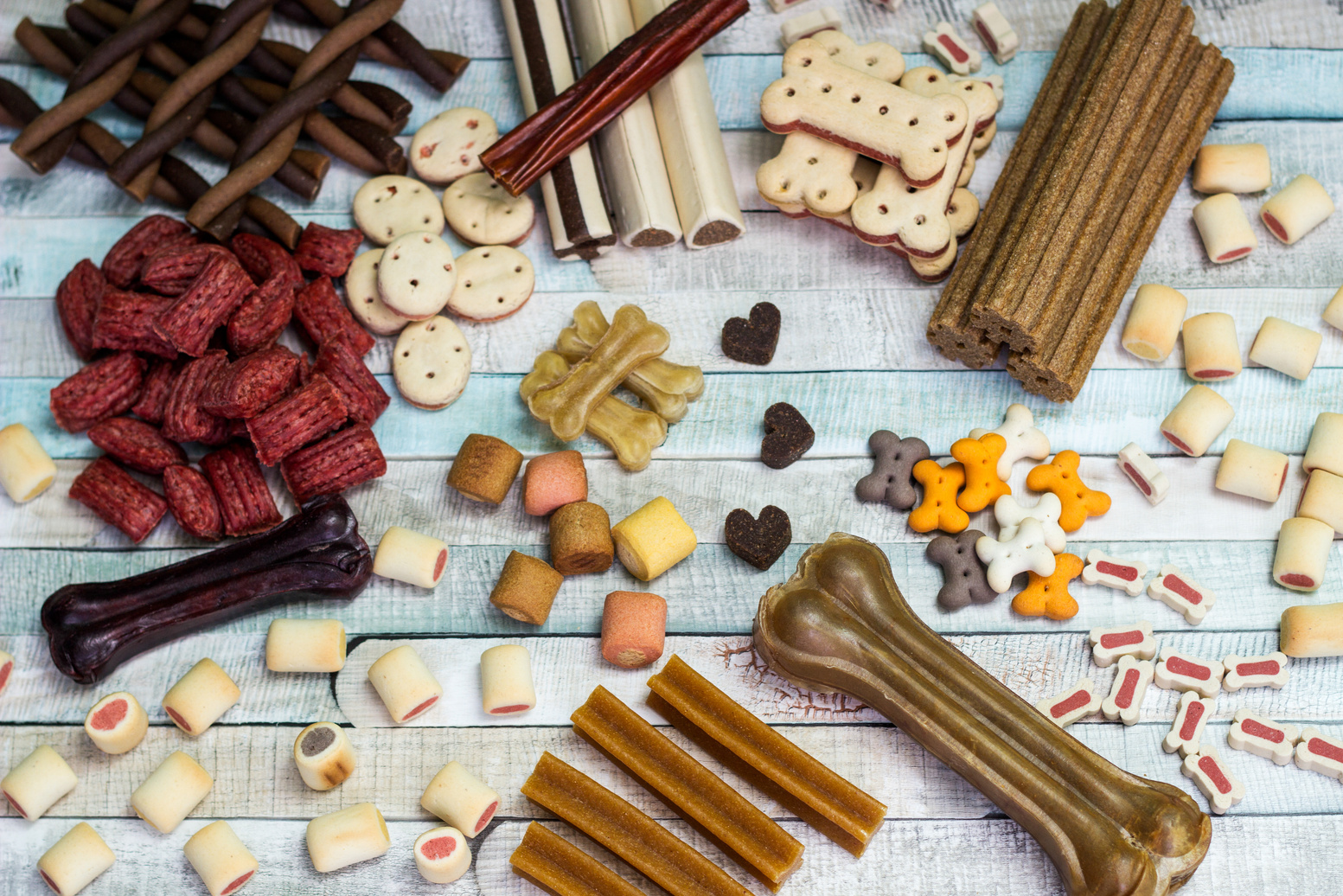 Pet food, snacks for dogs