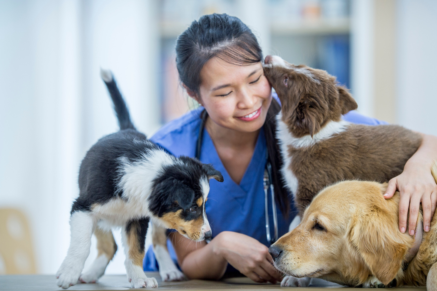 Friendly Vet